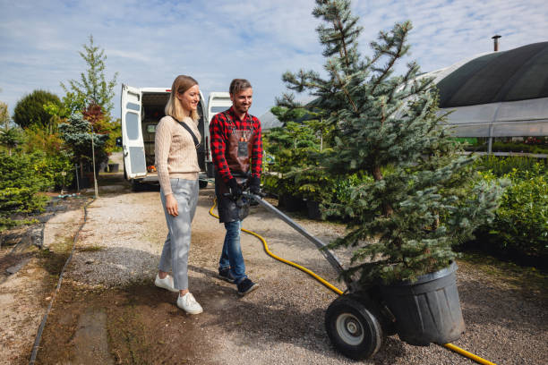 Best Weed Control  in Thompson, ND